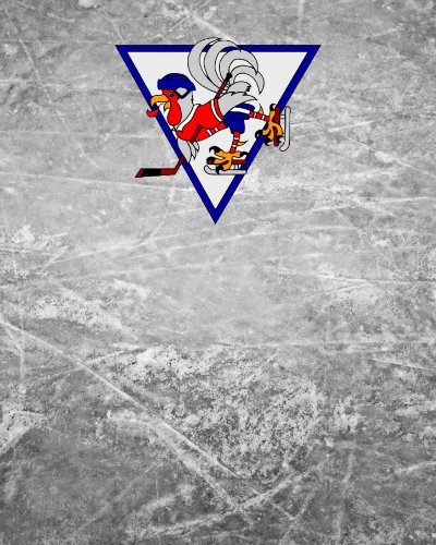 EHC Koppigen Logo alt